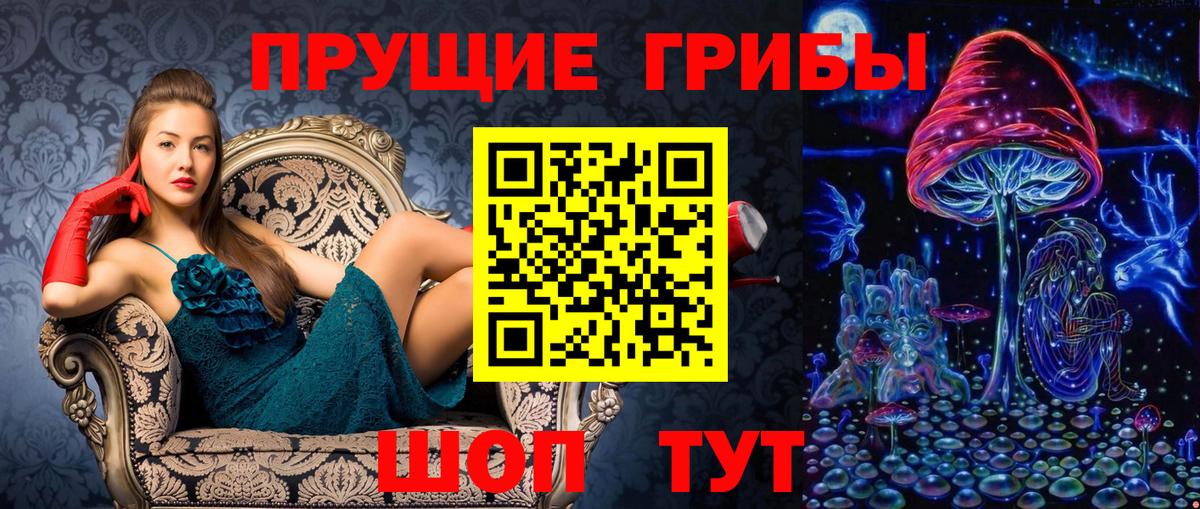 Псилоцибиновые грибы прущие грибы Каменск-Шахтинский