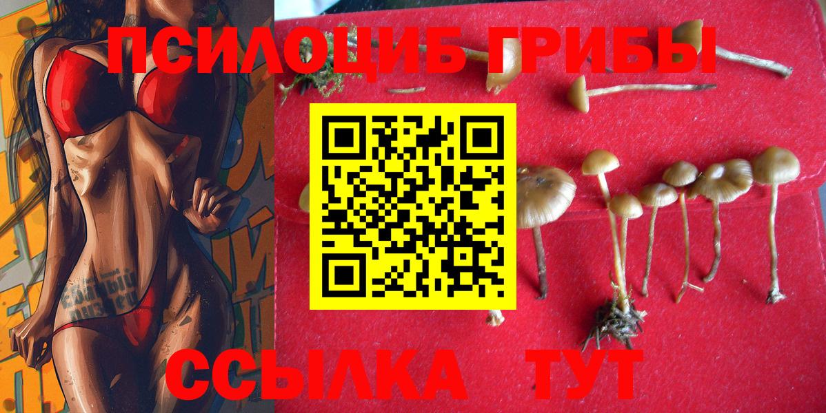 Каменск-Шахтинский  Псилоцибиновые грибы ЛСД  Вход с VPN 